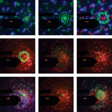QTX Tetra - LED Moonflower + Ripple + Strobe/UV + Laser Effect