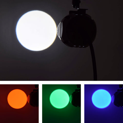 QTX PAR10-RGBW - 10W LED RGBW Spotlight