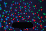 QTX Par-T Bar - LED Party Bar and Stand Kit