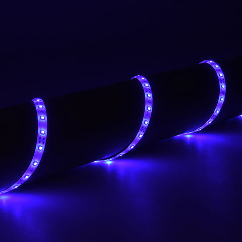 Lyyt DIY-B60 - 5m DIY LED tape kit - Blue IP65