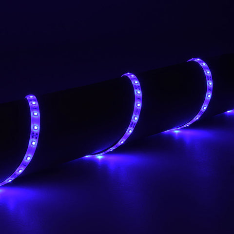 Lyyt LT12560-BL - 5m Blue 12V Single Colour LED Tape
