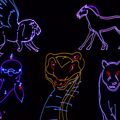 Citronic Animate Smart - RGB Smart Animation Laser