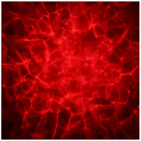 Equinox Hypnos - RGBW LED Quad Hypnotic Effect Light