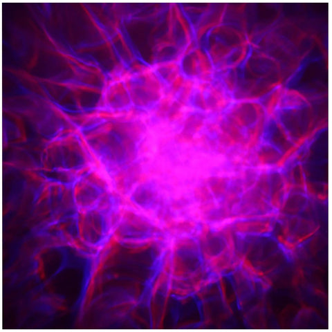 Equinox Hypnos - RGBW LED Quad Hypnotic Effect Light