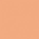 FXLAB G008KKF - Light Salmon 109 Coloured Gel Sheet 48x21 Inch