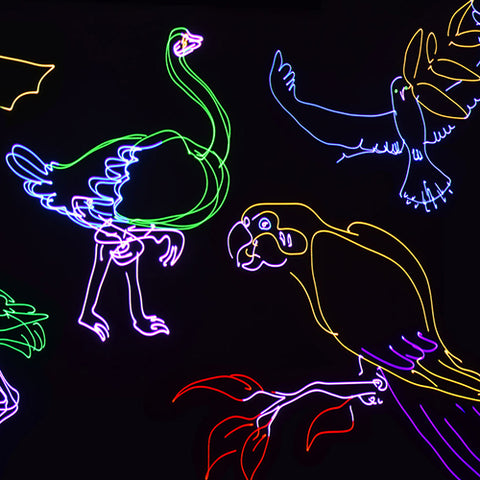Citronic Animate Smart - RGB Smart Animation Laser