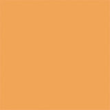 FXLAB G008KKC - Deep Amber 104 Coloured Gel Sheet 48x21 Inch