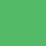 FXLAB G008KKN - Pale Green 138 Coloured Gel Sheet 48x21 Inch