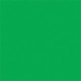 FXLAB G008KKP - Fern Green 122 Coloured Gel Sheet 48x21 Inch