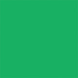 FXLAB G008KKV - Primary Green 139 Coloured Gel Sheet 48x21 Inch